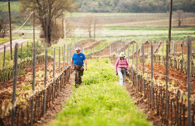 Poggiolivi Agriturismo Bio in Maremma - Photo 25