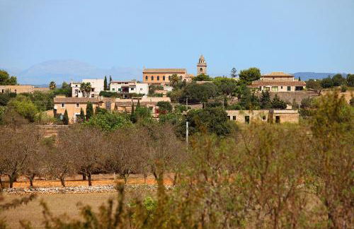 Finca Teuler Petit - Foto 34