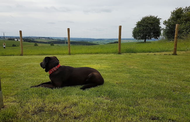 Eifel Dream Ardennenblick - Photo 22