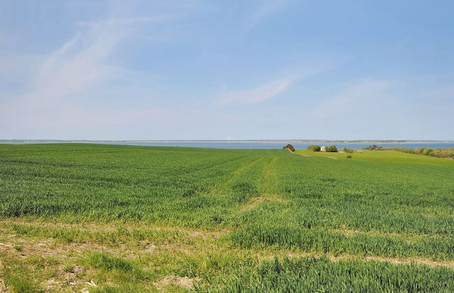 "Alois" - 1km to the fjord - Photo 4