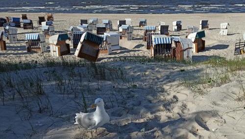 Ferienwohnung Strand25 - Foto 5