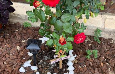 Stonehouse dome Lagadia - Photo 61