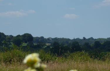 Artist's Hawkhurst Home with Heated Pool & Sauna - Foto 55