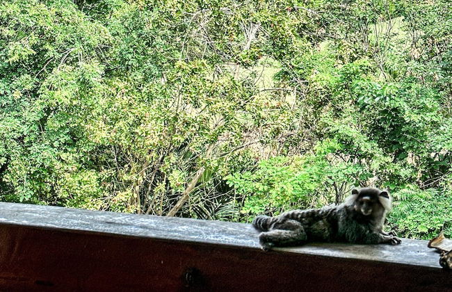 Condomínio Genipabu Summer House to OZPED Flats - Foto 52