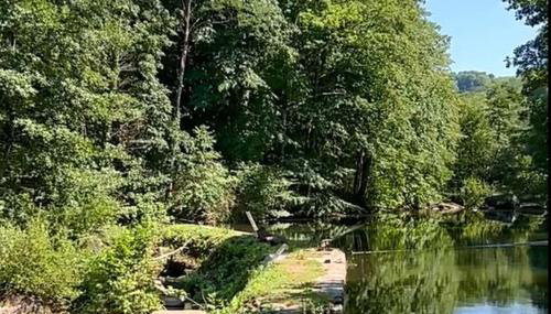 Moulin de Record - Photo 2