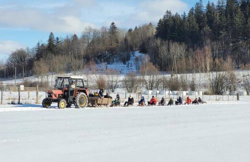 Maraśka Holiday House - Foto 35