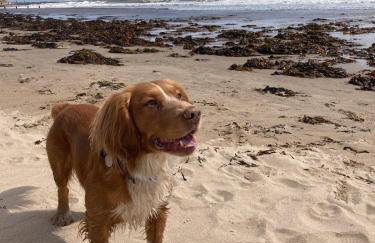 Garden View Apartment - Foto 25