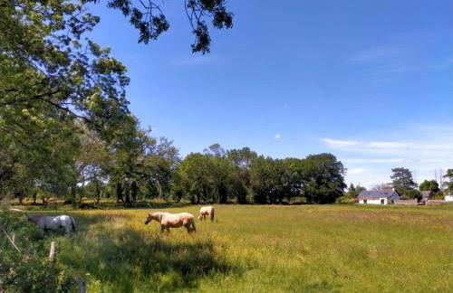 Manoir de L'Aisnerie - Foto 41
