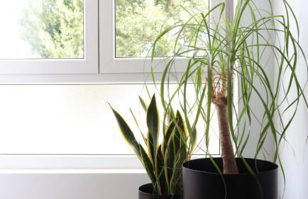 Casa Vitoria - Foto 10