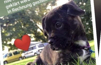 Ferienwohnungen Hasenhof - Foto 21