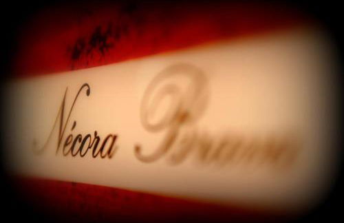 Apartaments La Reserva Premium - Foto 12