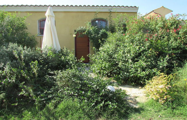 Cavalli di S'Arcaite - Foto 58