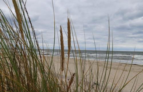 Ostsee Ferienhaus Usedom hundefreundlich Familie Stopp Haus 22 - Foto 16