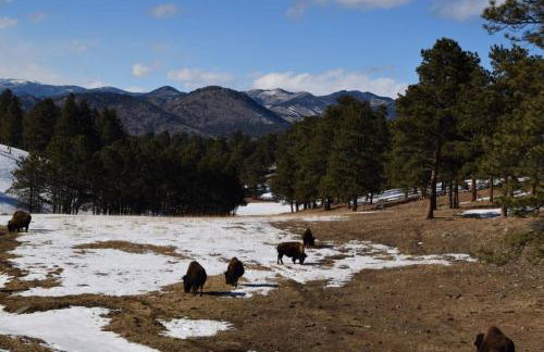 Buffalo Woods 216 - Wildernest - Foto 25