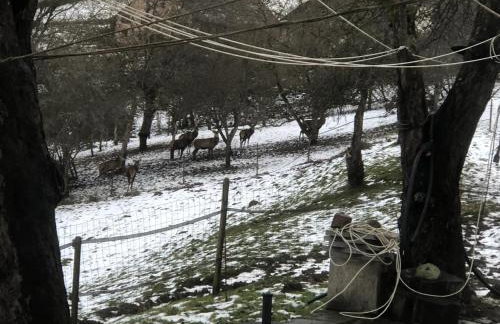 Maison pittoresque à Sainte-Croix-aux-Mines, vue sur la montagne - Foto 77