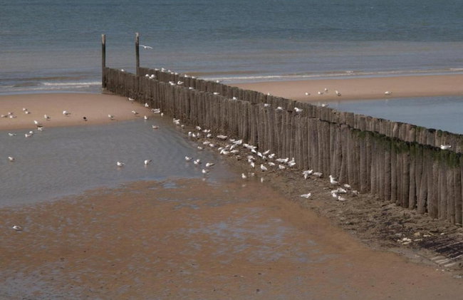 Apartment in Netherlands With Sauna - Foto 31