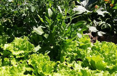 Ansitz Grustdorf - Foto 62