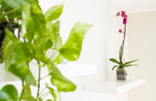 Charming apartment in Pedregalejo - Photo 24