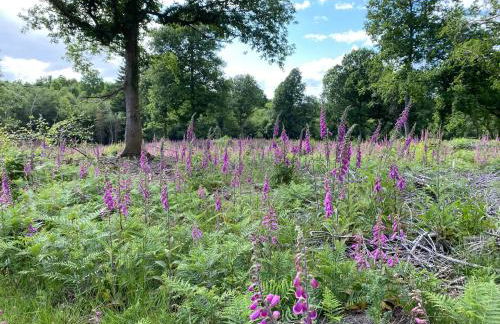 Willow Cottage - Foto 35