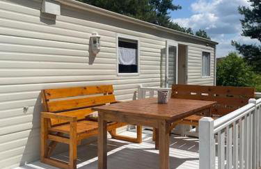 Holenderki na Zielonych Wzgórzach, Łowyń - Foto 11