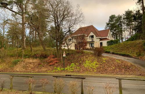 11 Les Pins Penchés - Foto 2