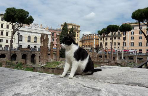 Suite Argentina - Foto 46