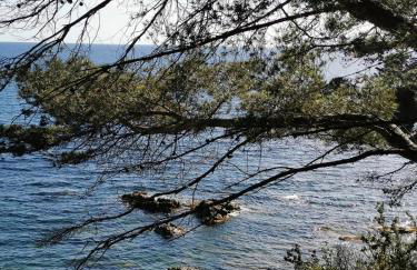 PETIT PARADIS - St MANDRIER VILLAGE - Foto 39