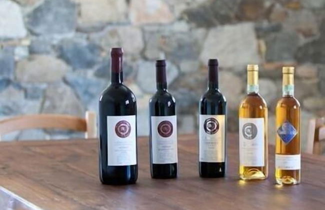 Agriturismo Al Vecchio Portico - Photo 41