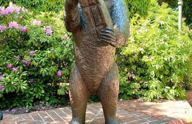 Near the North Sea Modern Retreat - Foto 10