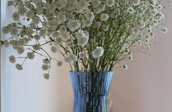 Fogar de Lecer - Foto 45