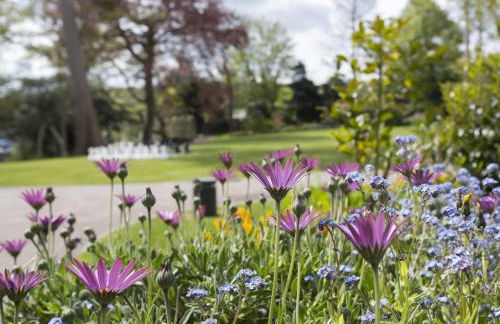 Cardigan Castle - Foto 10