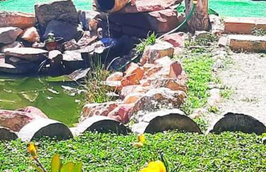 La Quibla de Abuhan - Foto 27