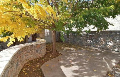 The Doctor’s Mansion - Arkadia - Photo 27