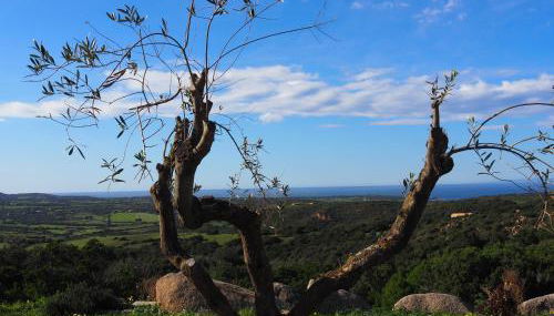 Stazzu Giasti Agriturismo - Photo 2, Garden, Garden view