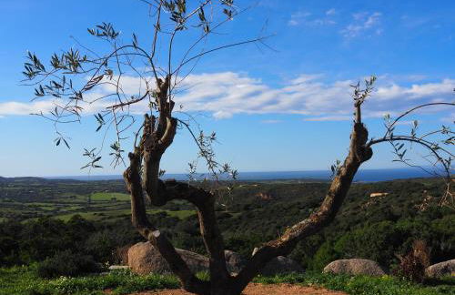 Stazzu Giasti Agriturismo - Photo 2