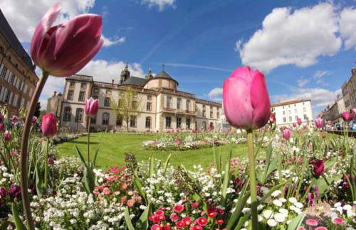 Chez Julien: appartement confort plein centre - Foto 9