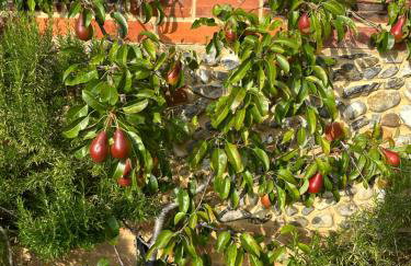 The Granary - Wood Farm Barn. Luxury Barn with wonderful countryside views - Foto 42