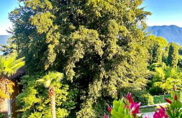 Casa Doris - Foto 61