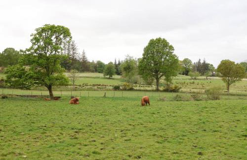 The Four Oaks Chalet - Foto 24