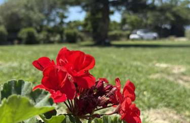 Hector's studios - Foto 19