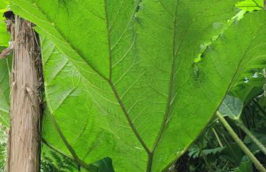 CHARMANT APPARTEMENT 3 étoiles classé BORD DE MER Travel Award 2026 - Photo 33