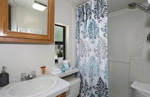 Sun & Snow Chalet Breckenridge, a dog lovers dream! - Foto 9