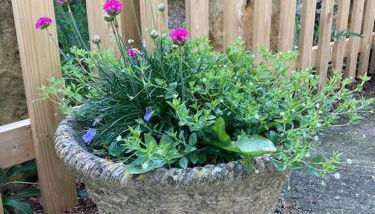 Cosy retreat in the heart of the Cotswolds. - Foto 2