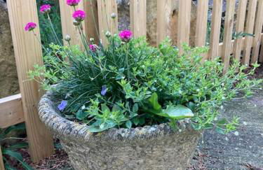 Cosy retreat in the heart of the Cotswolds. - Foto 2