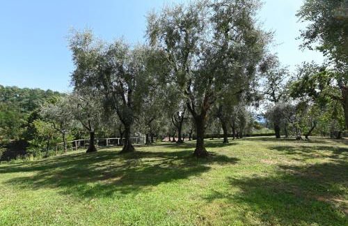 Agriturismo Corte Stefani - Foto 28