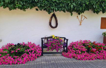 Ferienwohnungen Woidzauber - Foto 32