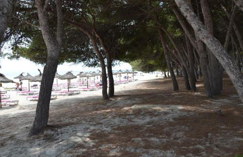 Carrasqueta - Foto 50