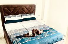 Apartment with swimming pool Lagotto - Foto 14