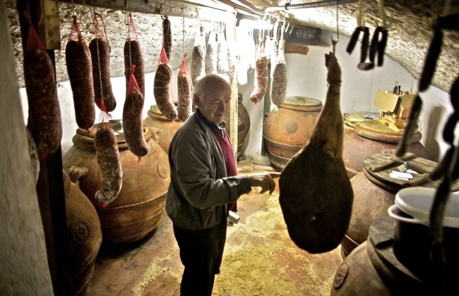 Agriturismo Fattoria di Castiglionchio - Foto 29