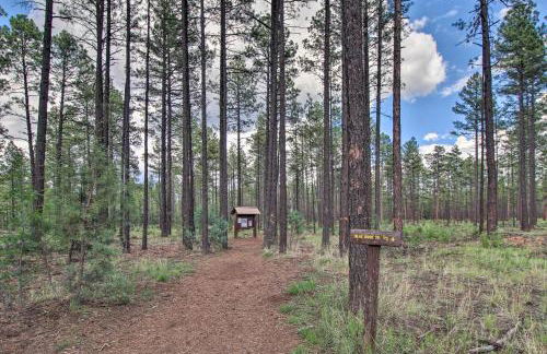 Family Cabin with Game Room! 32 Mi to Sunrise Resort - Foto 40